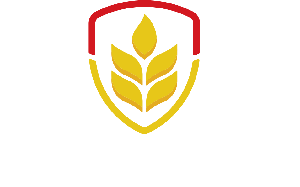 logo-vencetudo